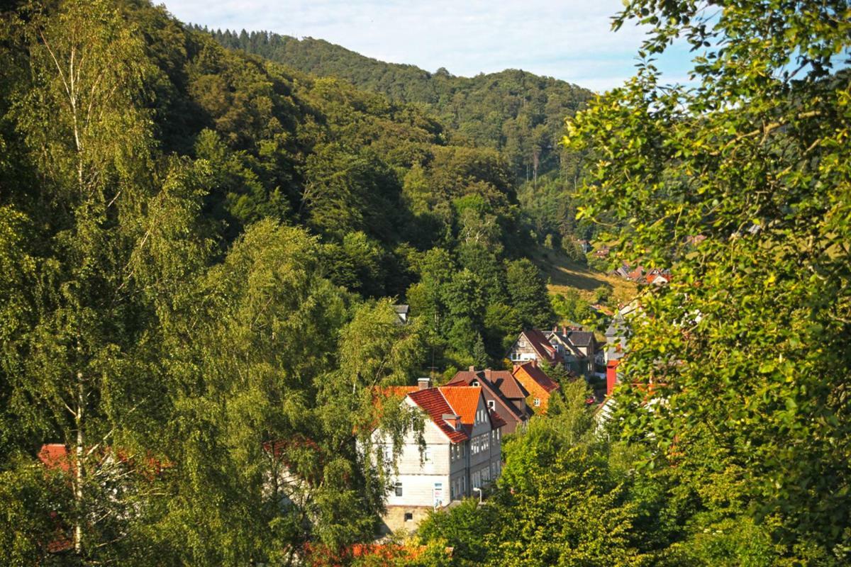 Fewo-Lerbachtal Osterode am Harz Exteriér fotografie