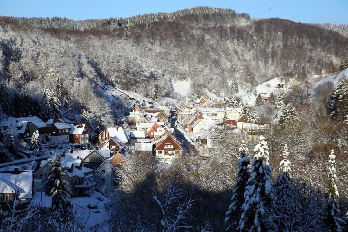 Fewo-Lerbachtal Osterode am Harz Exteriér fotografie