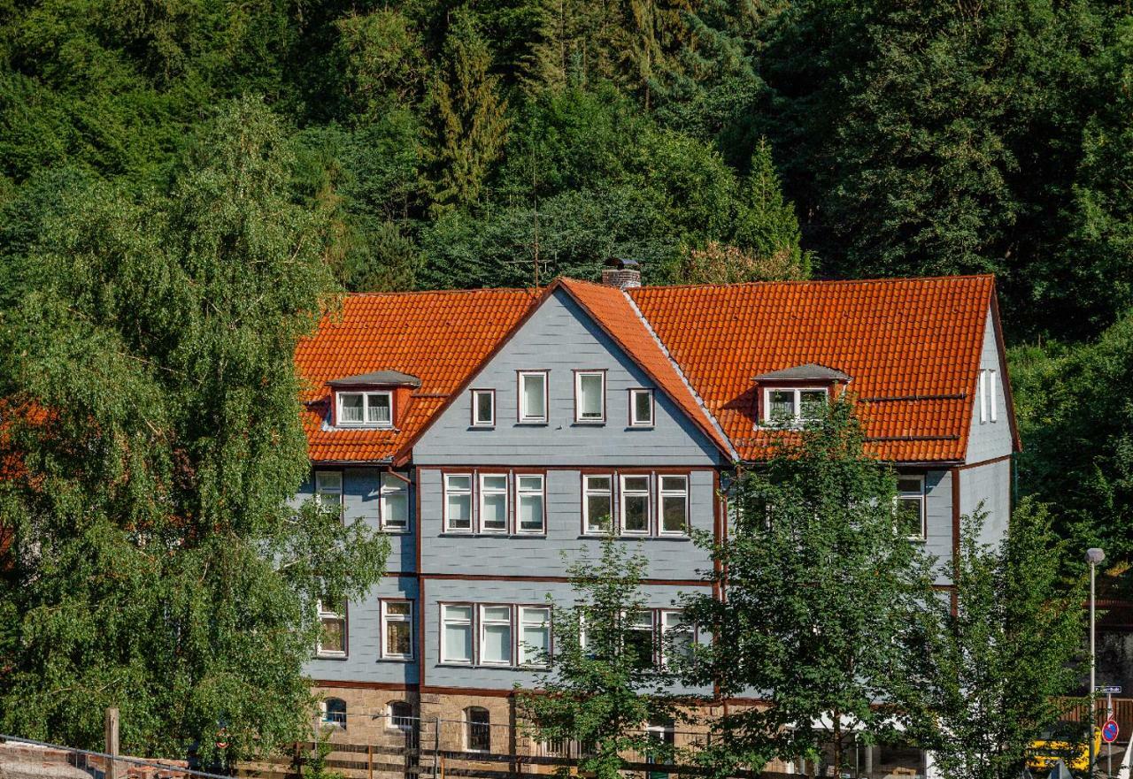 Fewo-Lerbachtal Osterode am Harz Exteriér fotografie