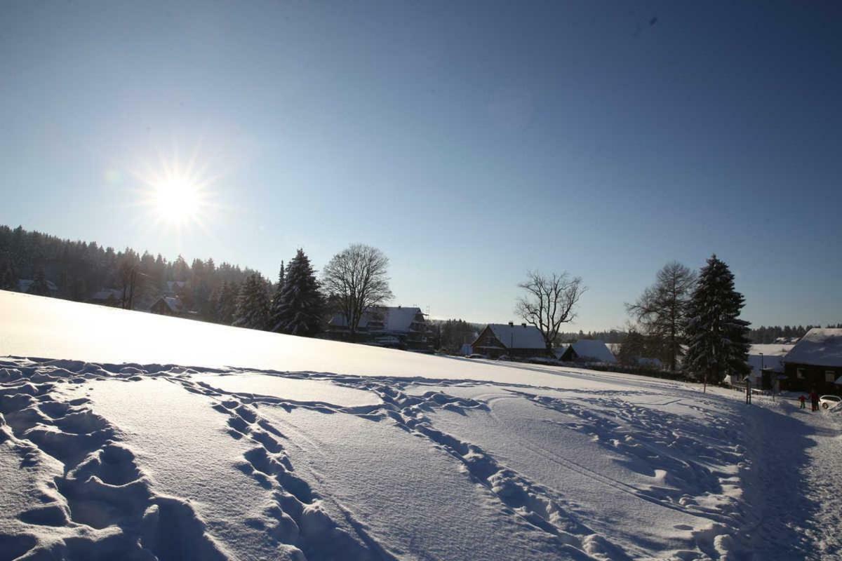 Fewo-Lerbachtal Osterode am Harz Exteriér fotografie