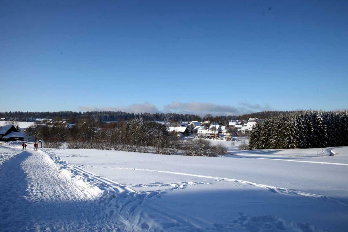 Fewo-Lerbachtal Osterode am Harz Exteriér fotografie